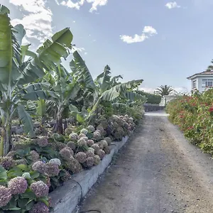 https://la-casita-de-los-orovales.in-canary-islands.com